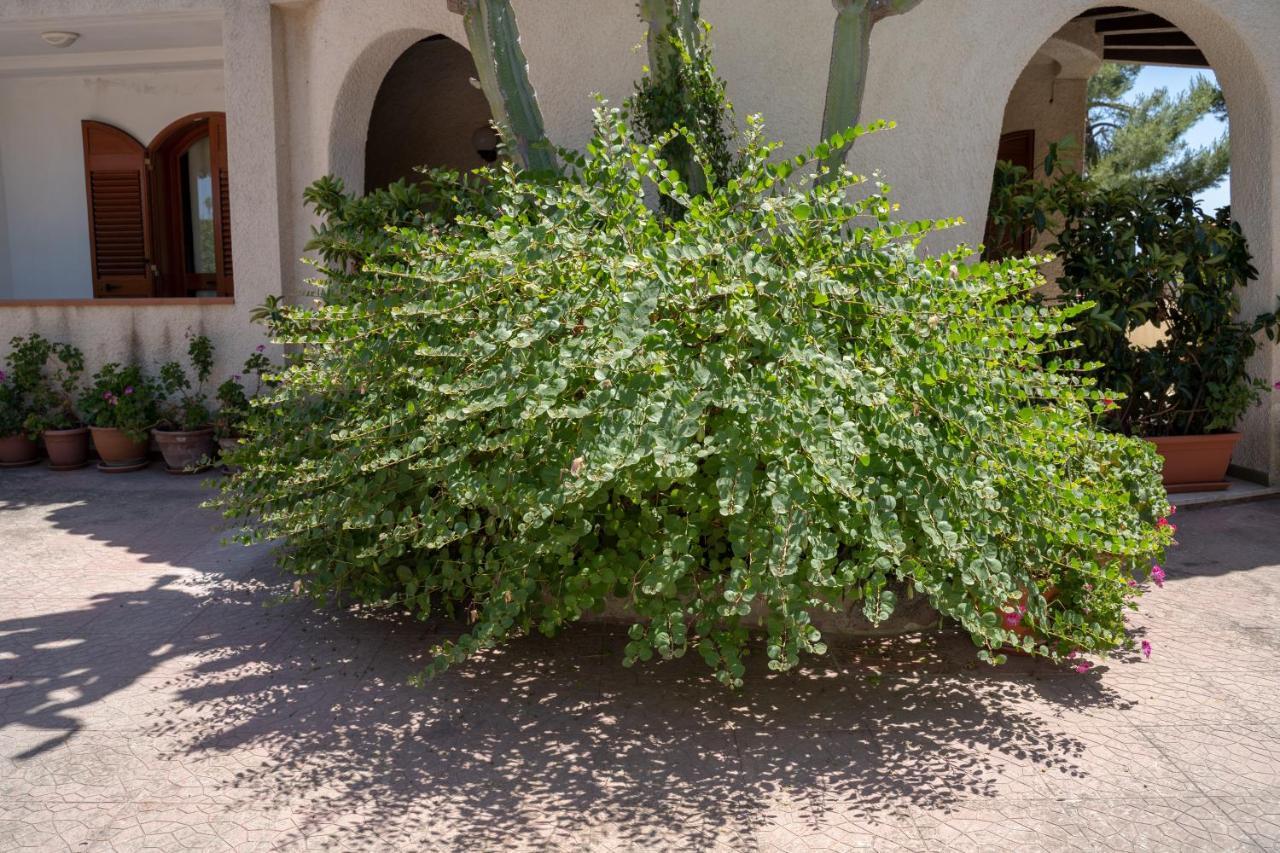Terrazza Sul Plemmirio Bed & Breakfast Syracuse ภายนอก รูปภาพ